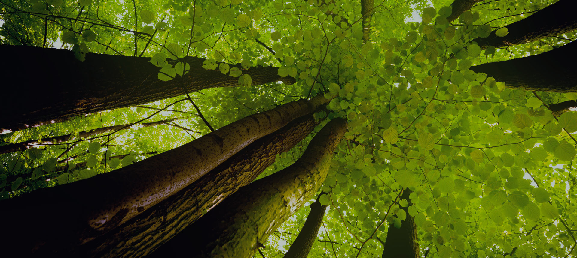 Why Exponential Technologies Are Taking Off