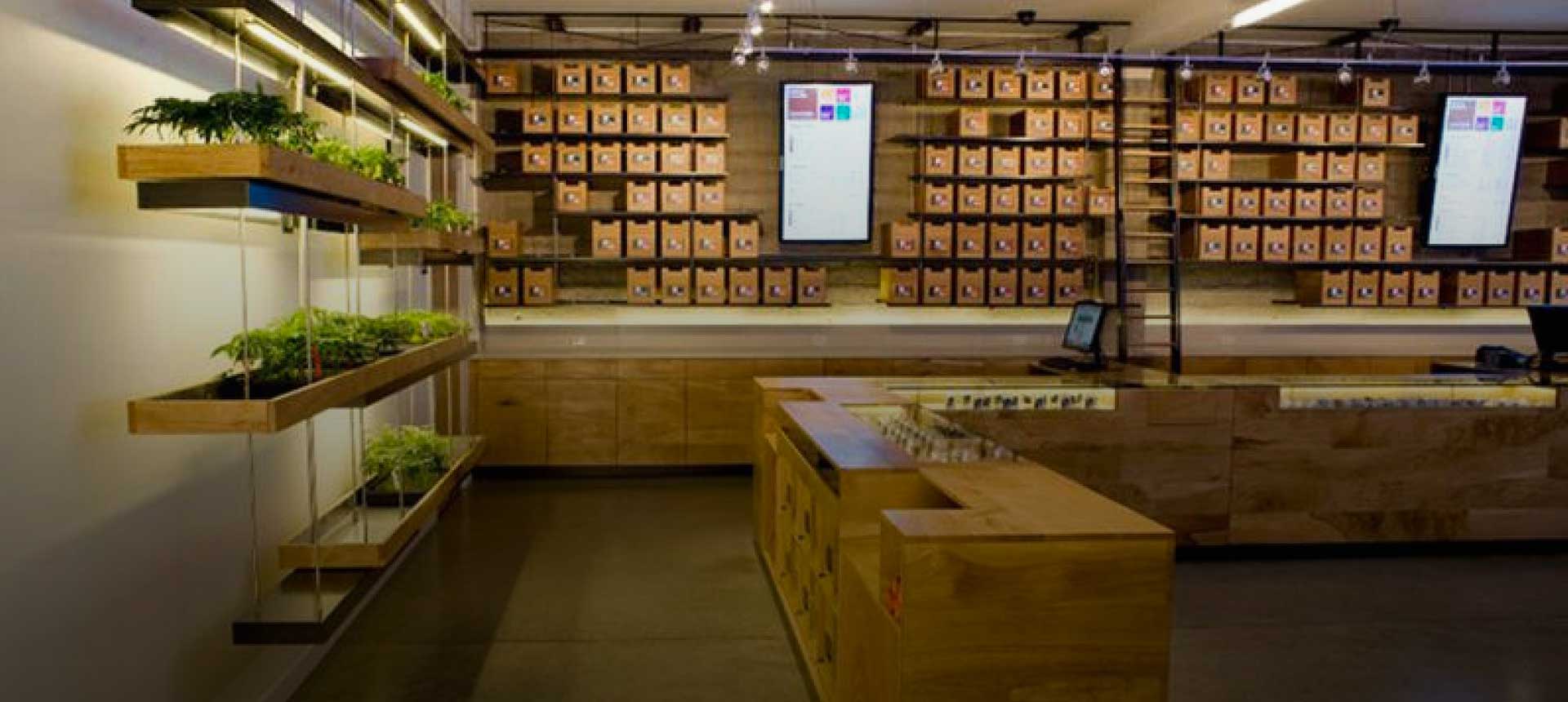 Four Ways to Making Cannabis Mainstream